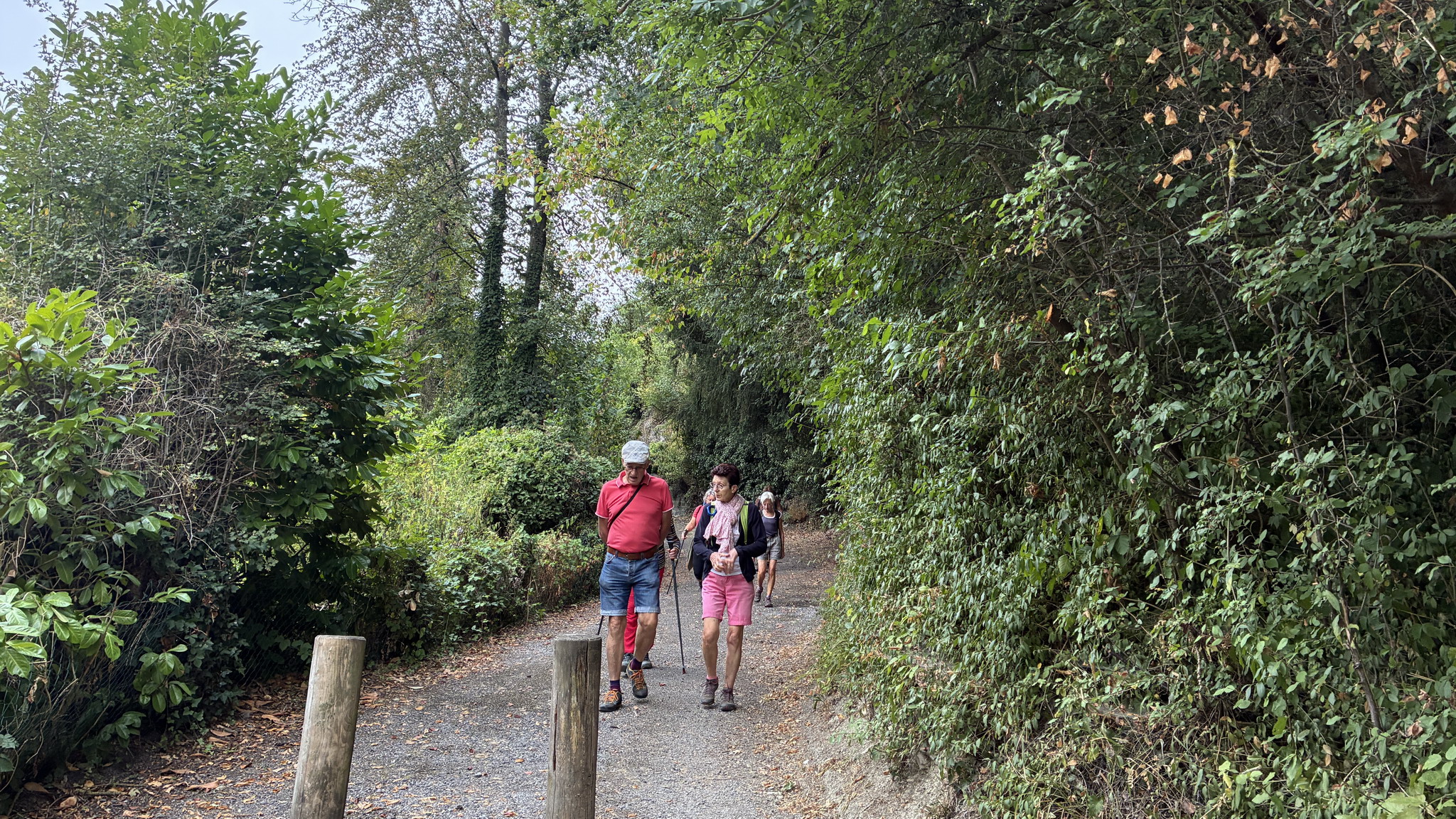 IMG_E8184.JPG