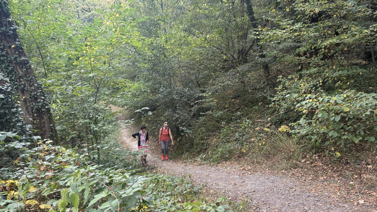 IMG_E8208.JPG