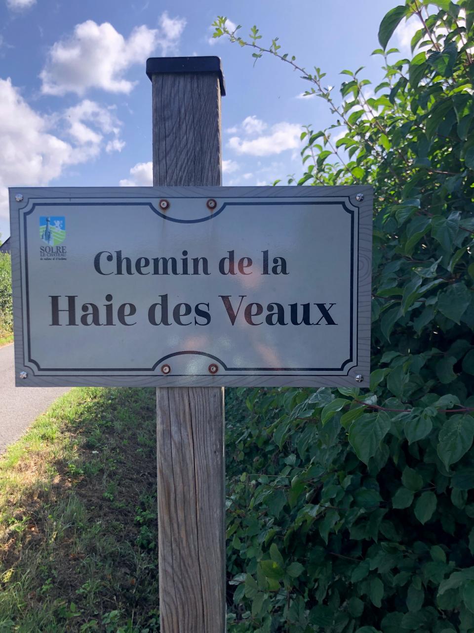 IMG_5276.jpg