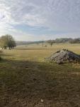 IMG_8578.jpeg