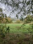 IMG_8582.jpeg