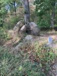 IMG_8586.jpeg