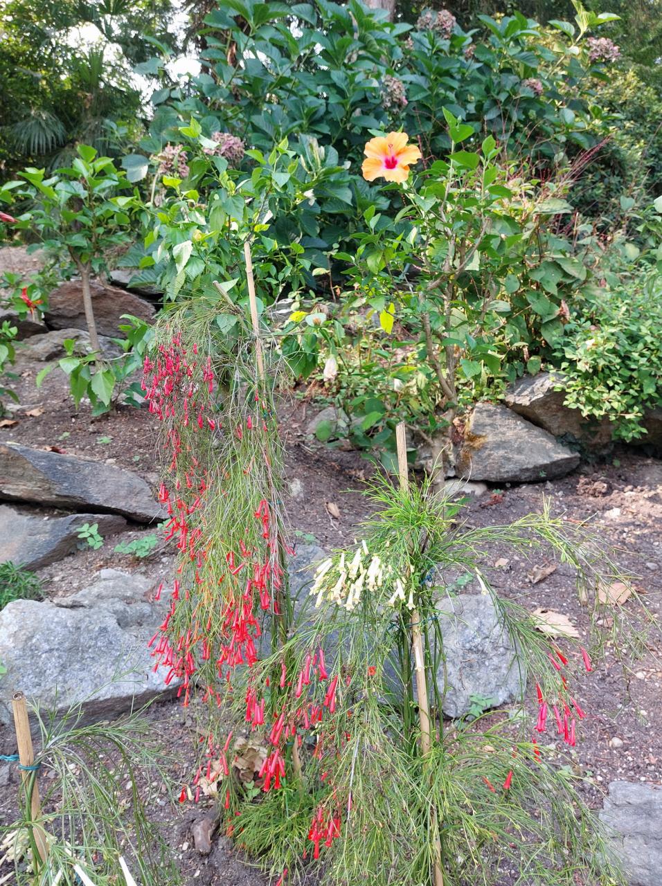 20260916_151813.jpg