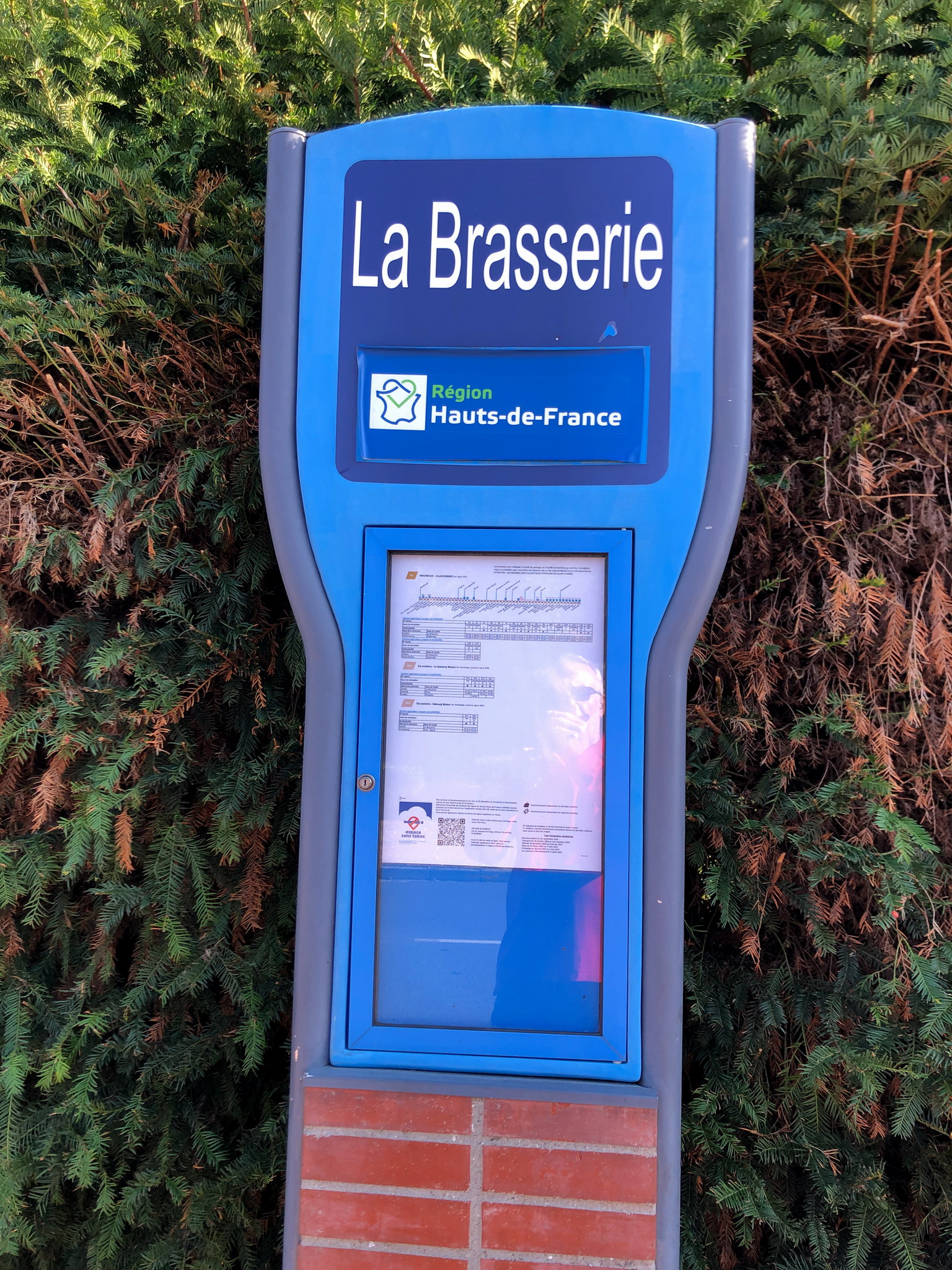 IMG_5353.jpg