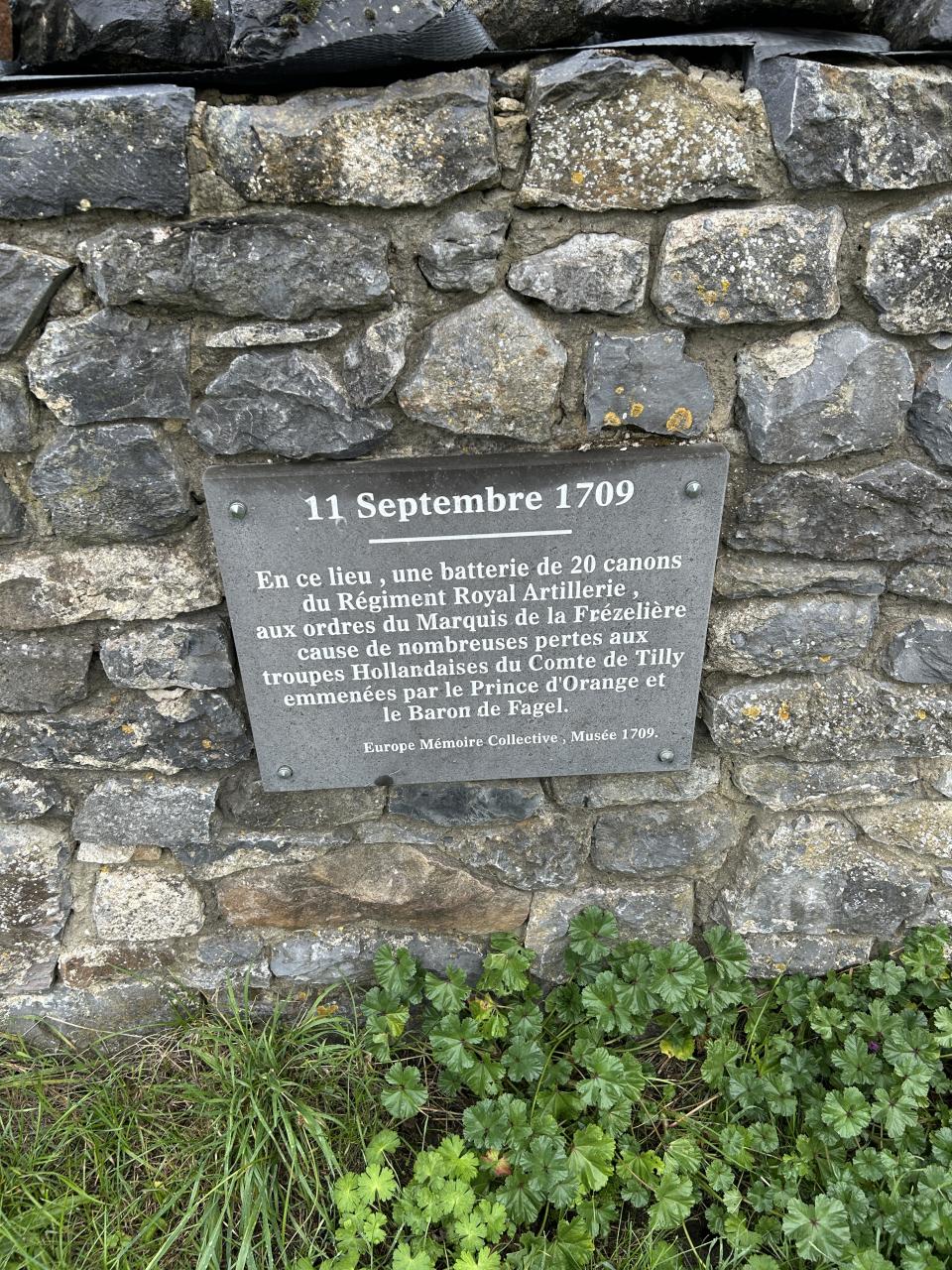 IMG_2857.jpeg