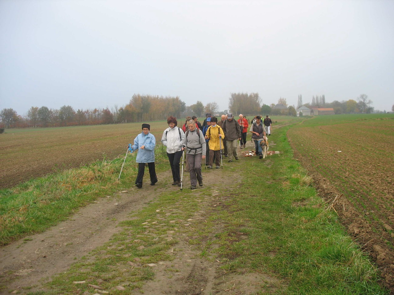 IMG_1958 bis.jpg