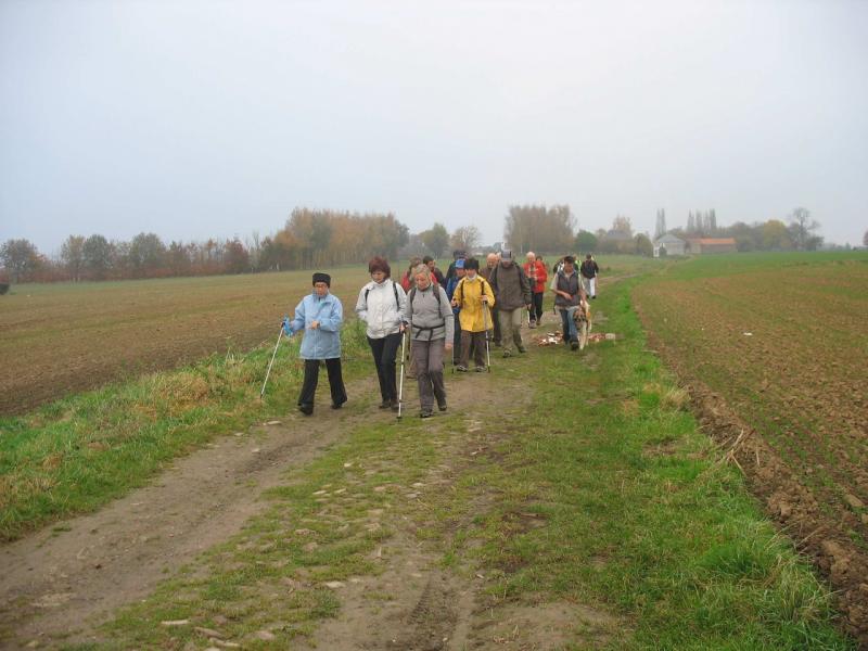 IMG_1958 bis.jpg