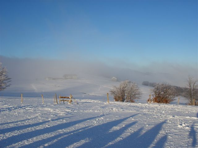 SS851722.JPG