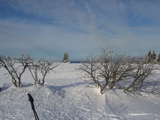 SS851729.JPG