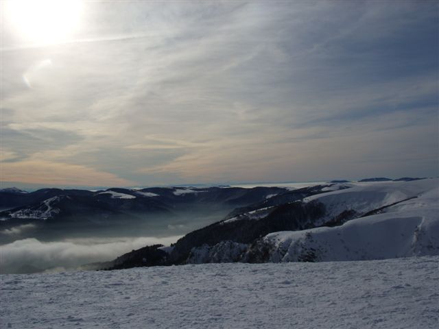 SS851734.JPG