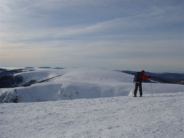 SS851735.JPG